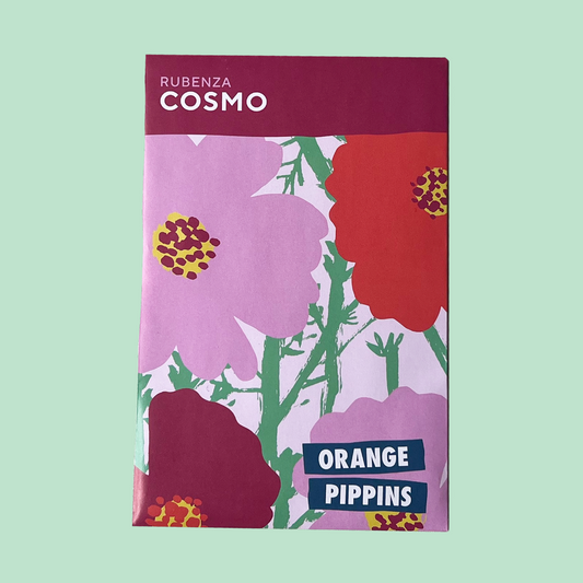 Rubenza Cosmos Seeds - Orange Pippins